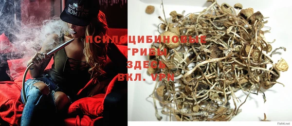 спиды Алексин