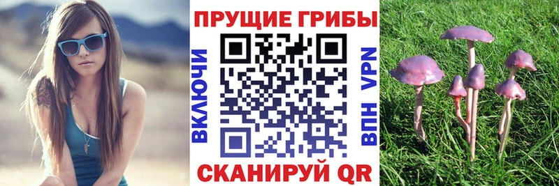 Галлюциногенные грибы ЛСД Слюдянка